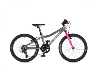 Author Cosmic 20"